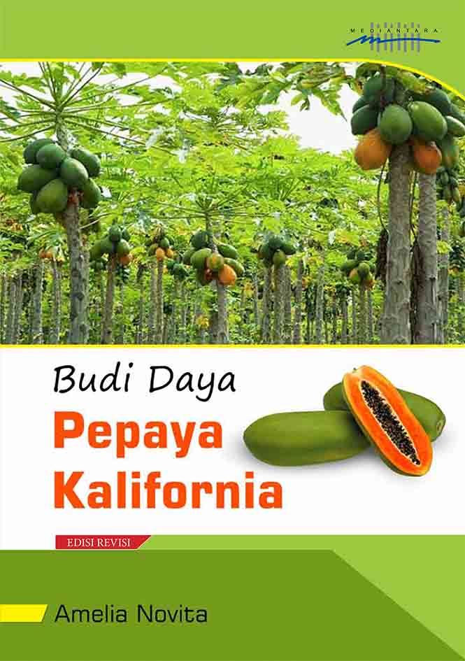 Budidaya Pepaya Kalifornia